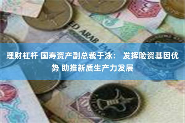 理财杠杆 国寿资产副总裁于泳： 发挥险资基因优势 助推新质生产力发展