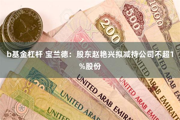 b基金杠杆 宝兰德：股东赵艳兴拟减持公司不超1%股份