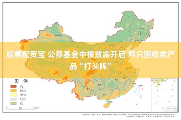 股票配资宝 公募基金中报披露开启 两只固收类产品“打头阵”