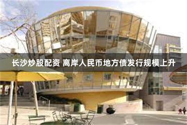 长沙炒股配资 离岸人民币地方债发行规模上升