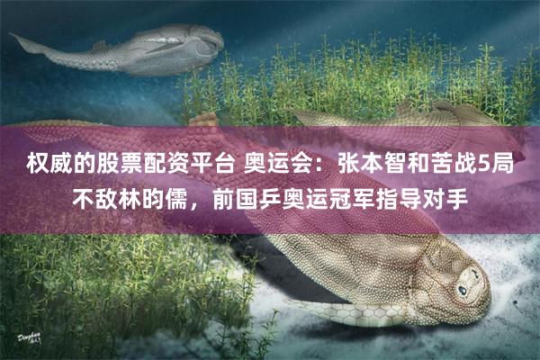 权威的股票配资平台 奥运会：张本智和苦战5局不敌林昀儒，前国乒奥运冠军指导对手