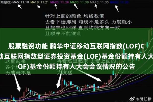 股票融资功能 鹏华中证移动互联网指数(LOF)C: 关于鹏华中证移动互联网指数型证券投资基金(LOF)基金份额持有人大会会议情况的公告