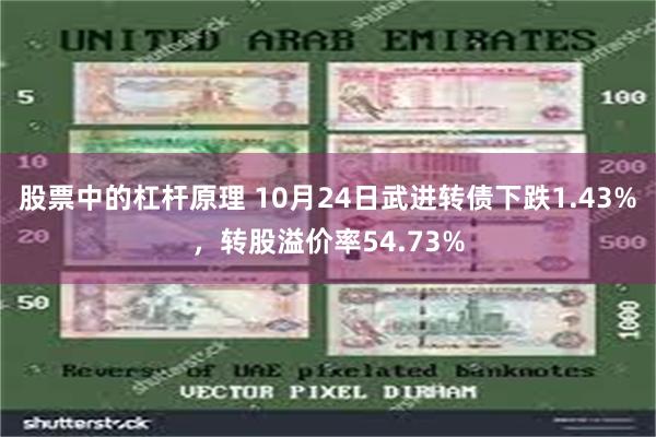 股票中的杠杆原理 10月24日武进转债下跌1.43%，转股溢价率54.73%