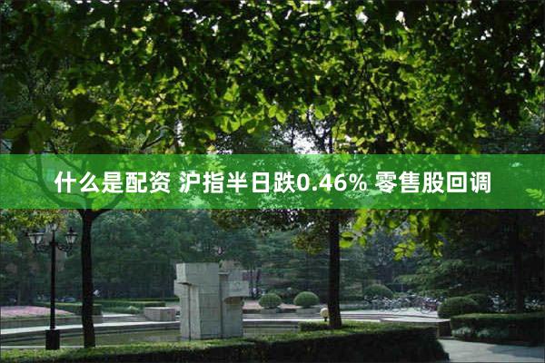 什么是配资 沪指半日跌0.46% 零售股回调