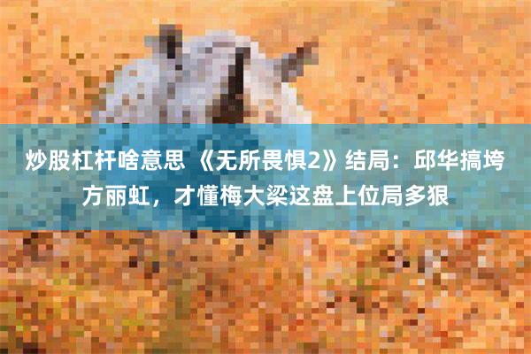 炒股杠杆啥意思 《无所畏惧2》结局：邱华搞垮方丽虹，才懂梅大梁这盘上位局多狠